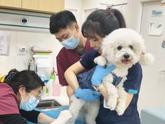 -美联众合动物医院·24h京西诊疗中心