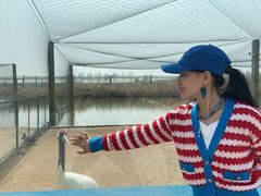 -盐城丹顶鹤湿地生态旅游区