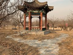 -御林古桑园