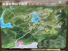 -深圳仙湖植物园