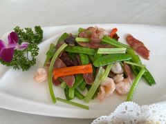 -云中小雅