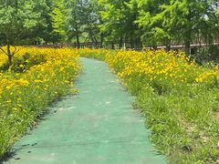 -漩门湾国家湿地公园