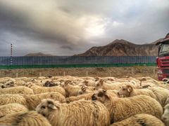 -青海湖国家重点风景名胜区