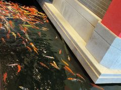 -龙悦湾酒家·八阵鱼生·渔人码头店