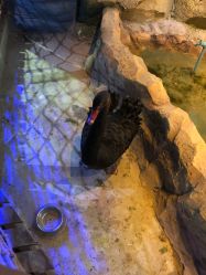 -酷嗒动物文化乐园(cutezoo西溪乐天城店)