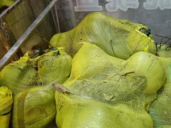 -东山羊庄(八卦岭店)