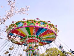 -顾村公园