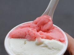 -Dip in Gelato(富民路店)