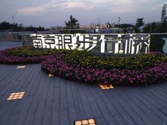-南京眼步行桥