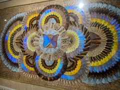 -上海昆虫博物馆