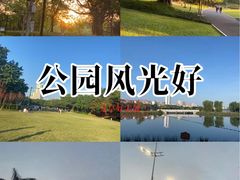 -南宁南湖公园