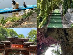-荔江湾景区