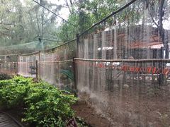 -北海金海湾红树林生态旅游区