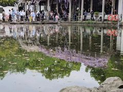 -西园戒幢律寺