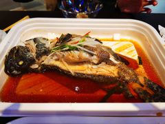 石斑鱼-盒马鲜生(宝地店)