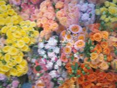 -循礼门鲜花花市(武汉循礼门店)