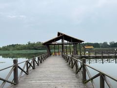 -溱湖国家湿地公园