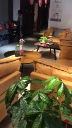 -Cocodemer 产后恢复中心(多伦路店)