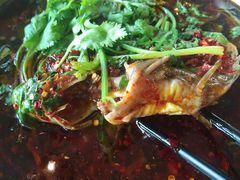 -胖大姐黄辣丁鱼庄(新津店)