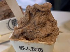-野人牧坊Gelato(天津南开大悦城店)