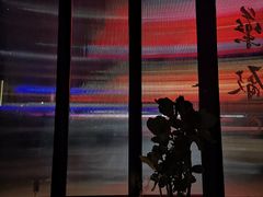 门面-MEDISN·药厂