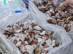 -东仓门早市
