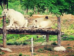 -济南野生动物世界