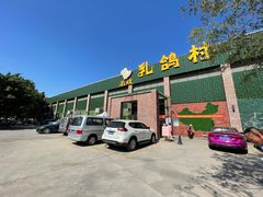 -石岐乳鸽村(南海第三分店)