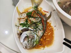 -日日香卤鹅饭店·澄海狮头鹅(澄海店)