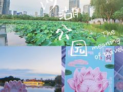 -沙湖公园