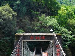 -黑河国家森林公园