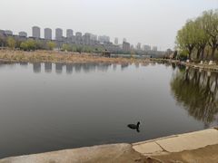 -前关湿地公园