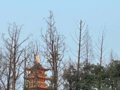 -乌镇东栅景区