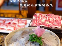 -渝大狮毛肚老火锅(遂宁万达店)