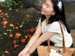 -杭州西湖风景名胜区-满觉陇四眼井