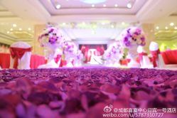-迎宾一号酒店·宴会厅