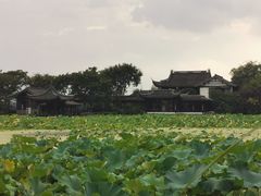 -高子水居