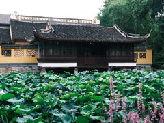 -范蠡湖公园