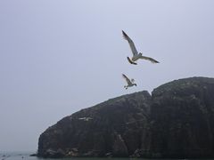-海驴岛(荣成市)