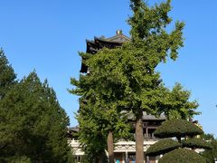 -济南大明湖景区
