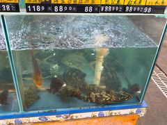 水产区-明记海鲜大排档(巽寮湾店)