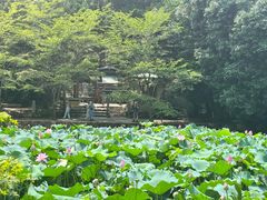 -常寂光寺