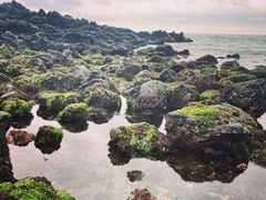 -龙头岩(Dragon Head Rock)