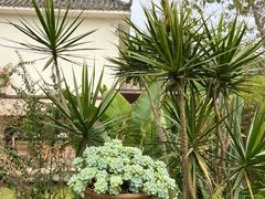 -悦哉·派对·草坪婚礼·围炉煮茶(三圣乡店)