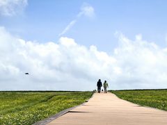 -空中草原