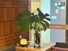 -泰合玺·精油疗愈SPA(狮山天街生活广场店)