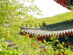 -吉林市朱雀山国家森林公园