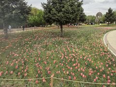 -长春公园(普阳街道)