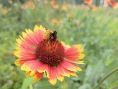 -野鸭湖国家湿地公园