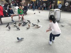 -埃菲尔铁塔